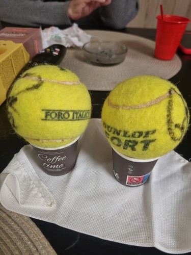 Palline tennis autografate - tennis,