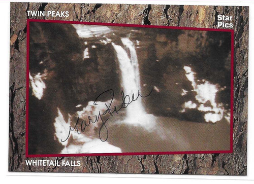 Twin peaks start pics - twin, 1991
