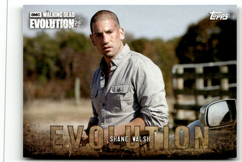 Topps amc the walking dead - the,