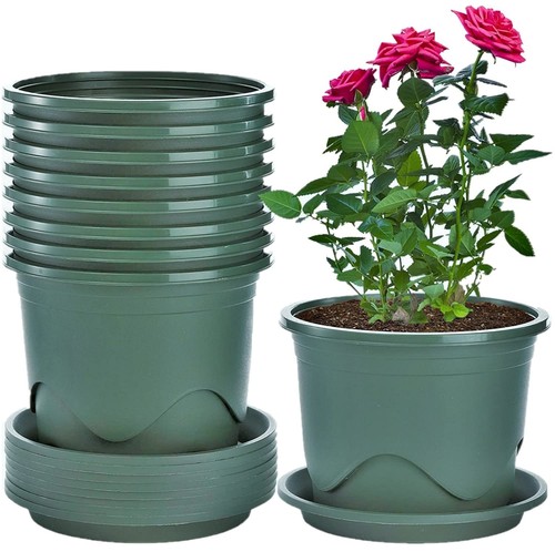 6pcs sottovaso vasi - 6pcs, piante
