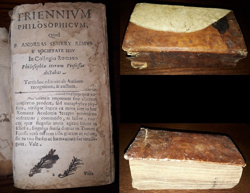 Triennium philosophicum quod