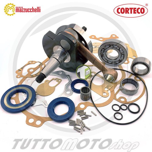 Kit revisione albero - albero, motore