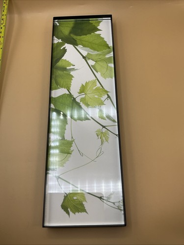 Espositore cosmetico caudalie - espositore,