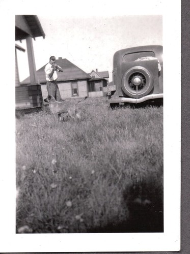 Vintage photograph car - photograph,