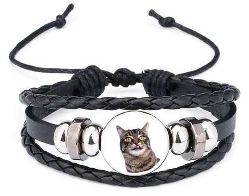 Manx cat pet black - cat, leather