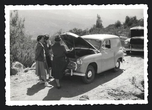 Fotografie hillman husky - hillman,