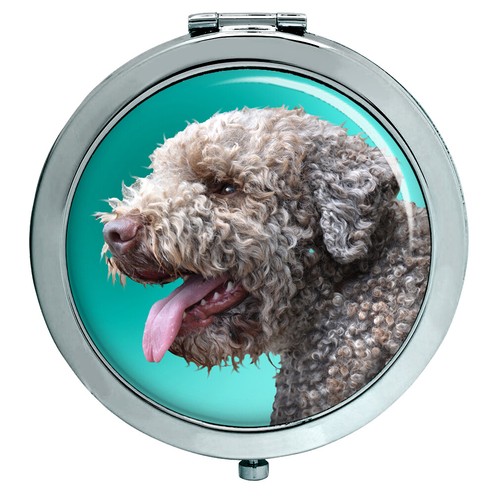 Lagotto romagnolo cane - lagotto,
