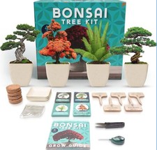 Kit base albero bonsai 4