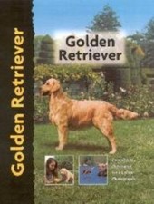 Golden Retriever - Dog Breed