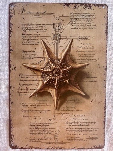 Targa decorativa metallo - decorativa,