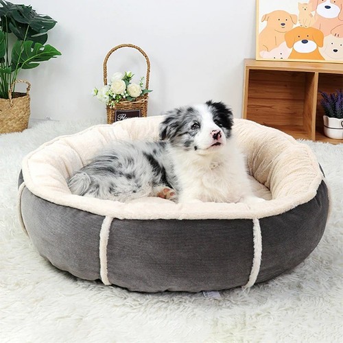 Cuccia cane rotonda - cuccia,