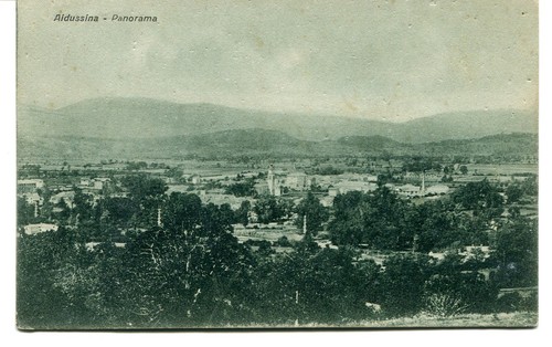 1931 aidussina panorama - 1931, guller