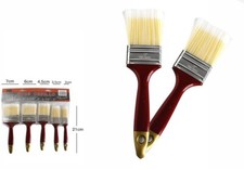 Set 5 Pennelli Pittura
