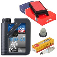 Kit 1L Olio Manutenzione