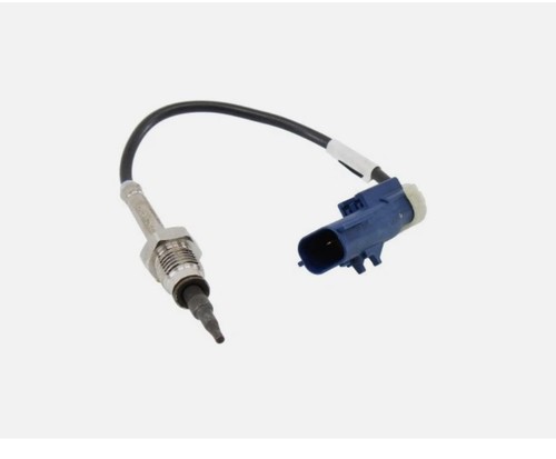 Sensore temperatura fap gas - fap, /