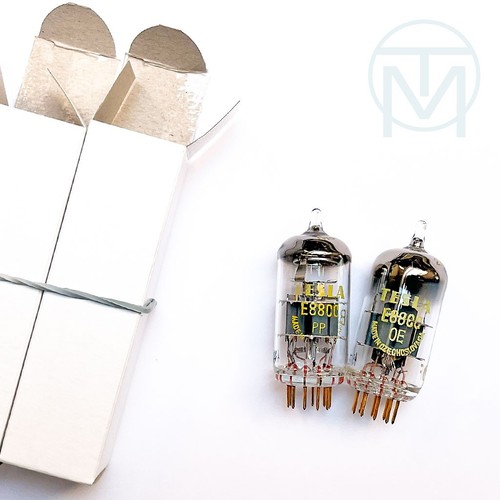 Griglie oro tesla - 2x,