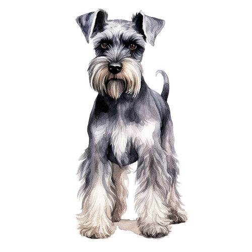 Adesivo auto schnauzer nano - adesivo,
