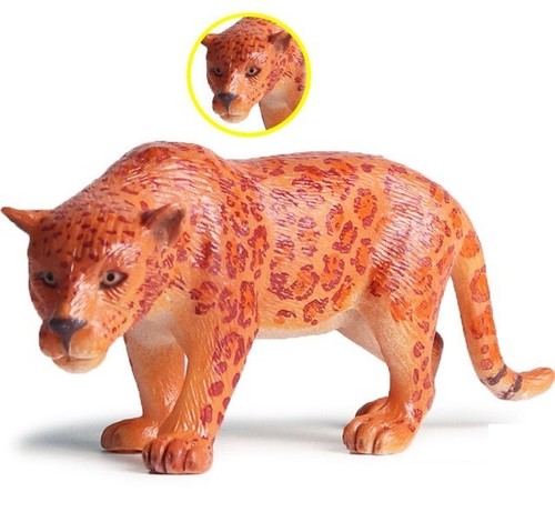 Ghepardo tigre animali - ghepardo,