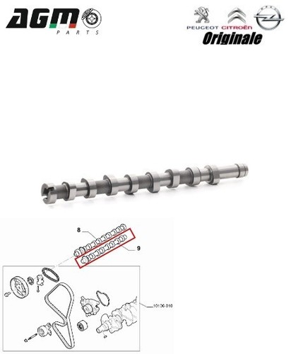 Albero camme distribuzione - albero,