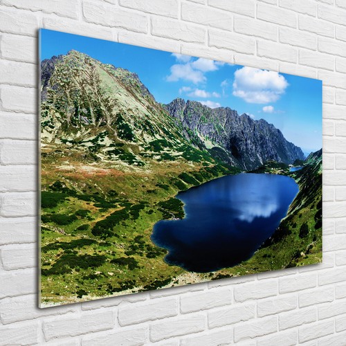 Quadro tulup stampa vetro - tulup, wall