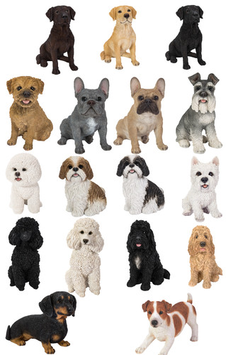Cani vivid arts nuovi taglia - vivid,
