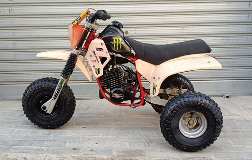 Lem bxg safari anni 80 - safari, 50