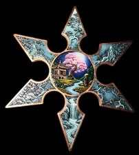 Edizione limitata ninja - edizione,