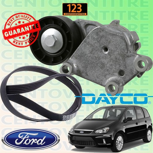 Cinghia servizi poly - cinghia,