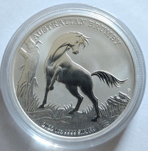 Australian brumby 2022 - brumby,
