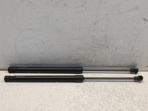 A12848 pistoncini molle - pistoncini,