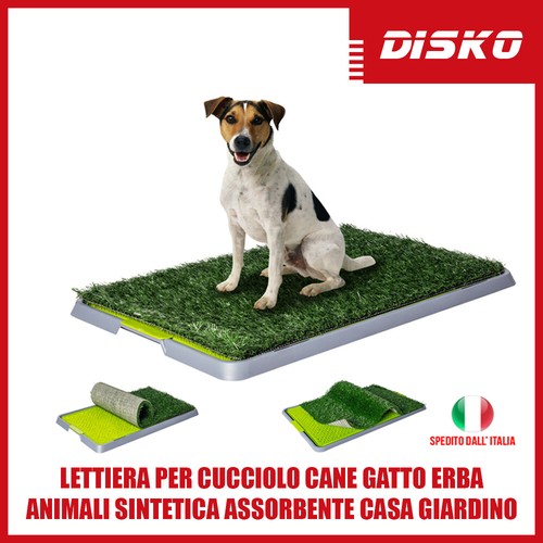 Lettiera per cane - lettiera, gatto
