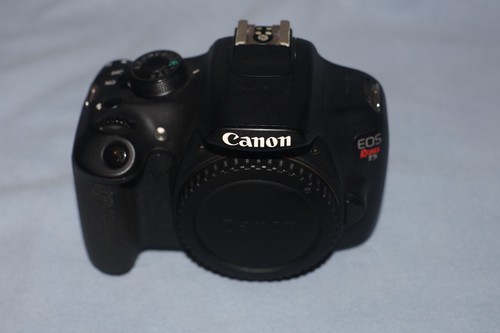 Corpo fotocamera reflex canon - corpo,