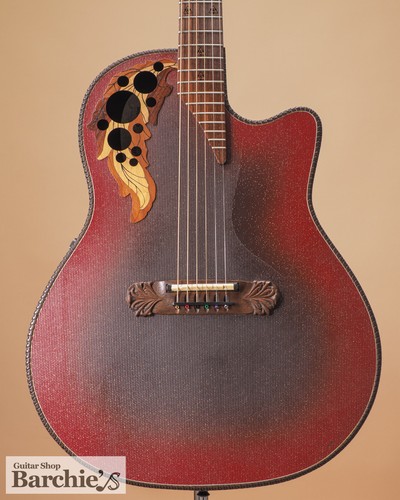 Chitarra acustica usata
