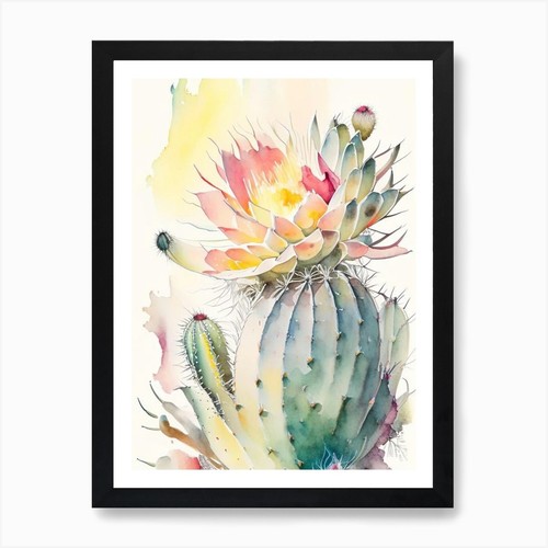 Chamaecereus silvestrii libro - chamaecereus,