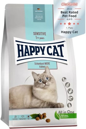 Happy cat adult - happy, pollo