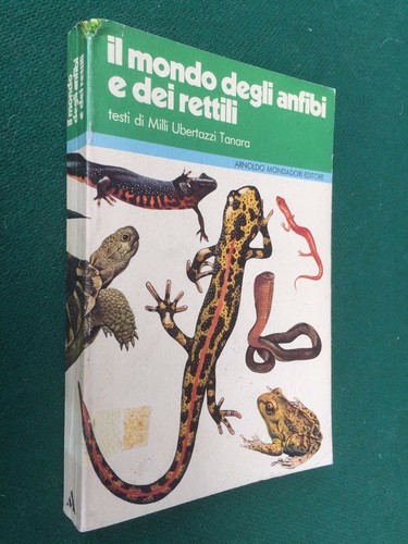 Mondo degli anfibi dei - anfibi,