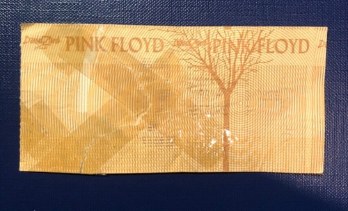 Pink floyd biglietto - pink,