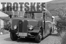 Larger Negative Scarlet