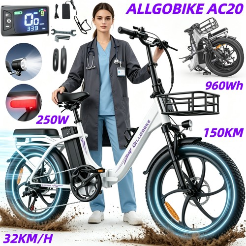 Bicicletta elettrica allgobike - bicicletta,