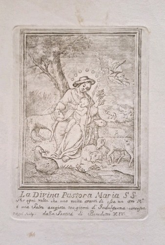 Madonna divina pastora - madonna,
