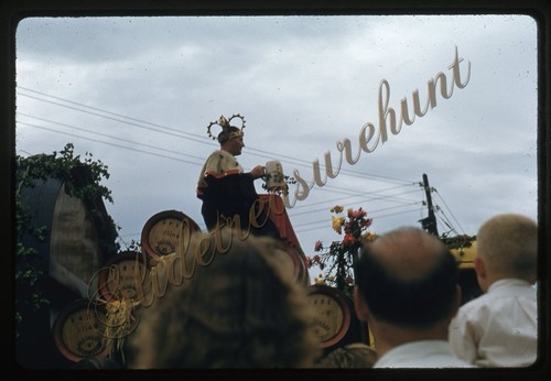 Ratisbona germania volksfest - ratisbona,