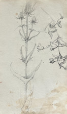 Antico disegno originale