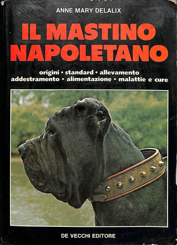 Mastino napoletano anne - mastino,