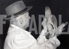 Foto vintage UK, Mostra di