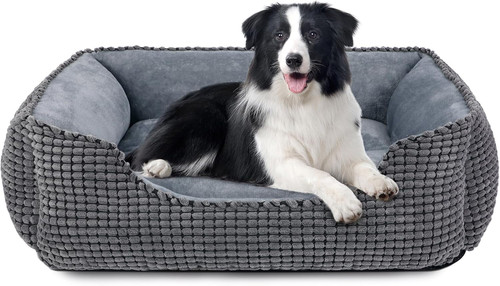 Cuccia cane interno - cuccia, interno,