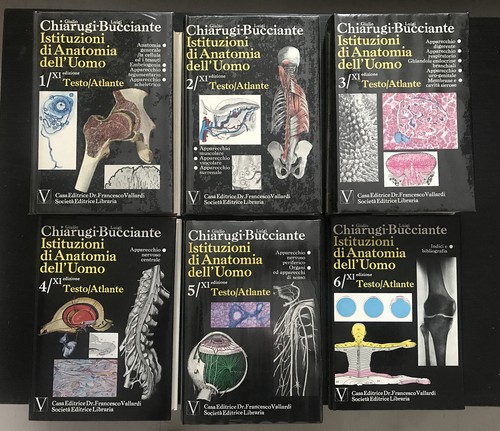 Chiarugi bucciante - chiarugi,