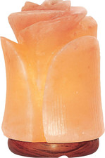 Spantik Tulip Shape Himalayan