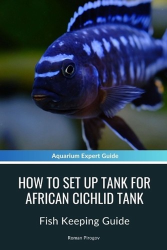 How set tank for african - to, up