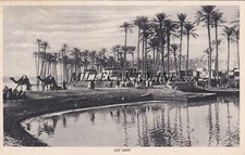 LIBIA: Un' Oasi    1940 -