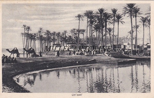 Libia oasi 1940 - oasi,